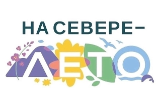 Познавательная игровая программа "Ромашки нежный лепесток"
